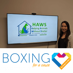 HAWS - Boxing for a Cause - Jan 2020