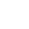 Lapidari Icons_mouse-icon-white Lapidari Icons_mouse-icon-white
